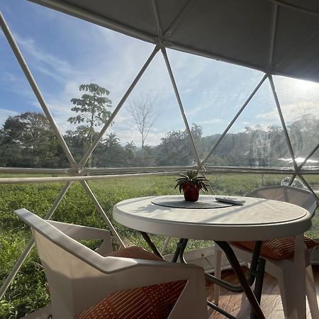 La Comarca River Glamping Dome Near Manuel Antonio Exterior foto